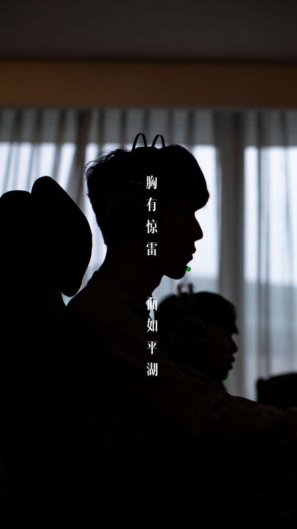 布兰特的言 布兰特的言