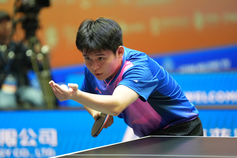 特别是每年 特别是每年